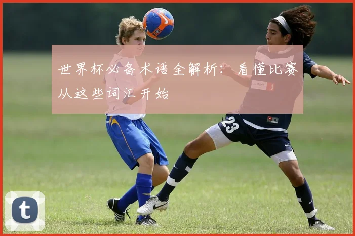 世界杯必备术语全解析:看懂比赛从这些词汇开始