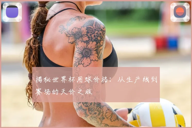 揭秘世界杯用球价格：从生产线到赛场的天价之旅
